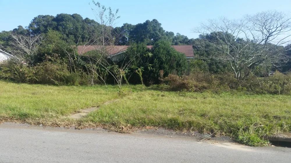 Reliable residential landscaping in Saraland, AL - Shear Pressure