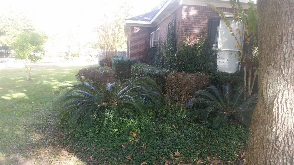Trusted residential landscaping for year-round maintenance in Saraland, AL by Shear Pressure