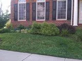 Affordable lawn care service for residential properties across Woodbridge, VA - Shear Scapes