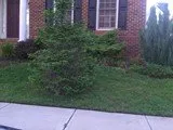 Local outdoor landscaping for beautiful yards across Woodbridge, VA - Shear Scapes