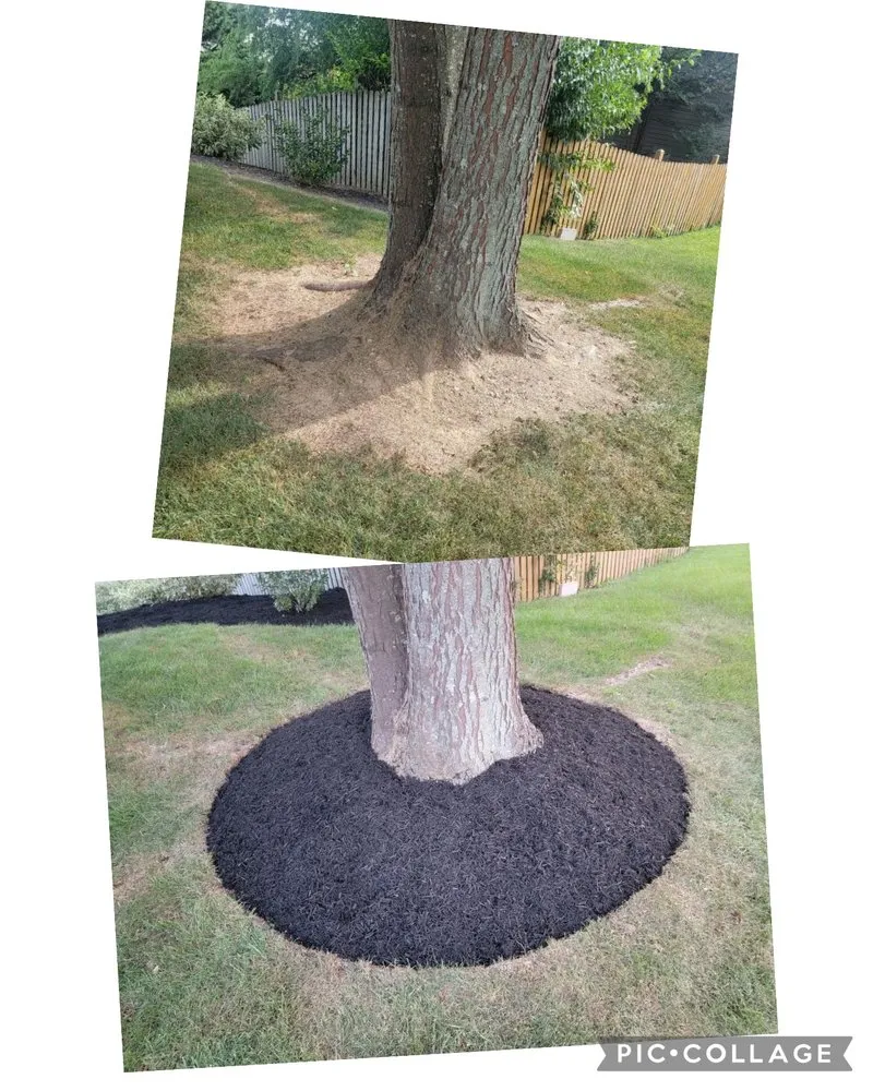 Top-rated landscape design experts serving New Oxford, PA - Shearer's Landscaping