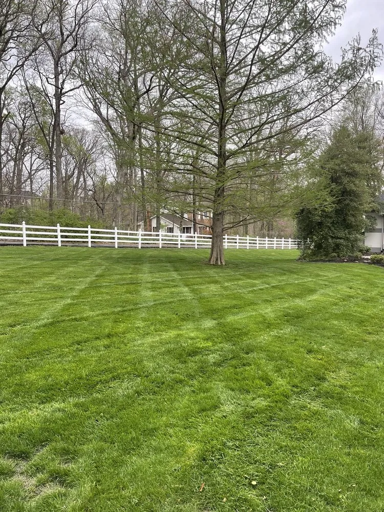 Professional lawn care service in Chesterfield, MO by Shearn Landscaping