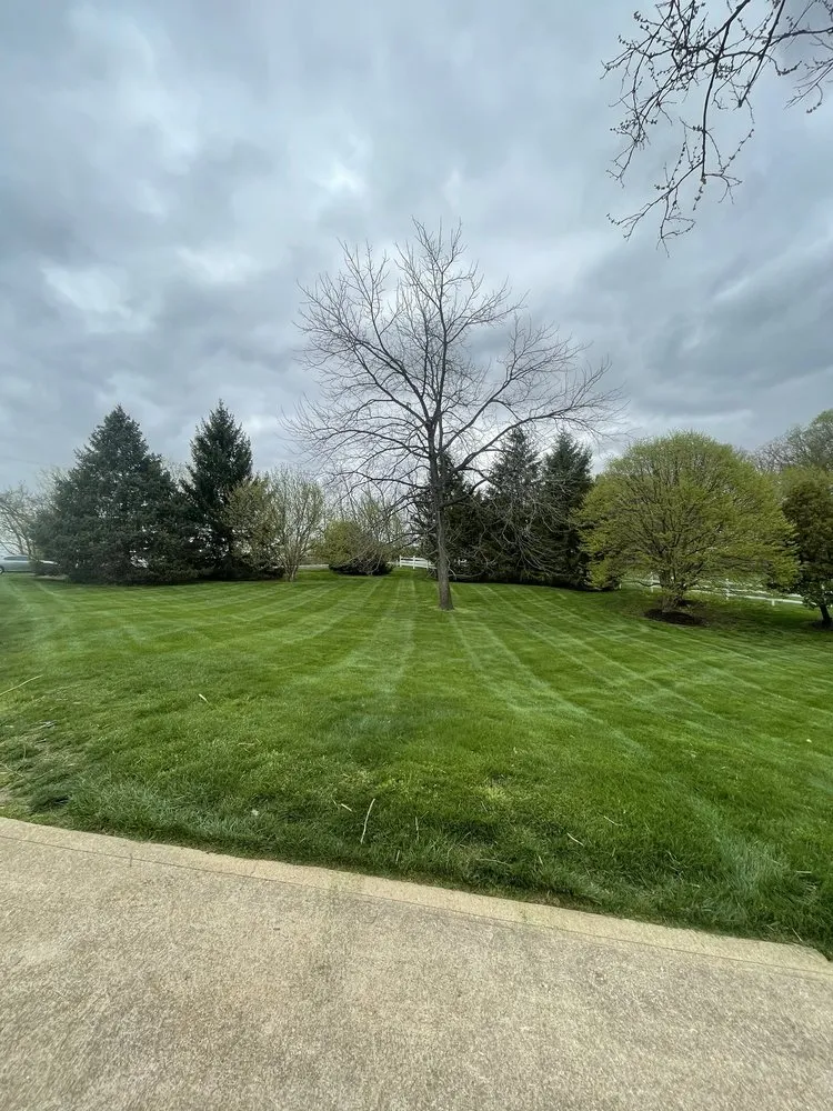 Custom lawn mowing service in Chesterfield, MO - Shearn Landscaping