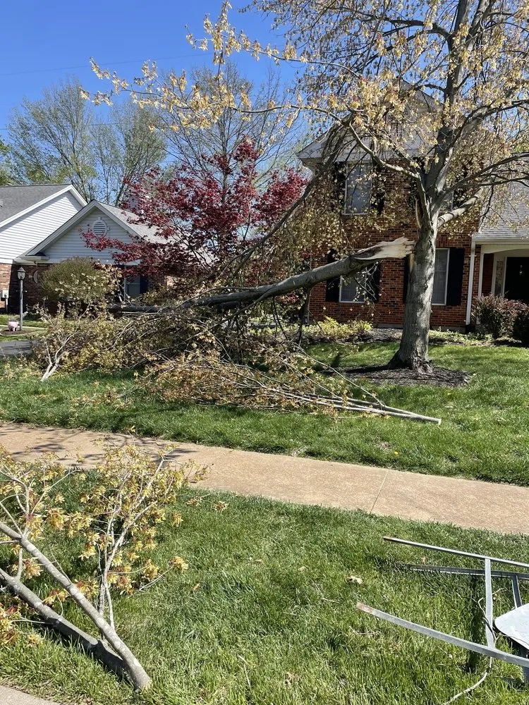 Professional landscape installation in Chesterfield, MO - Shearn Landscaping