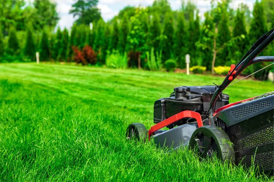 Reliable lawn care service for outdoor upgrades across Sheboygan, WI - Sheboygan Lawn Care