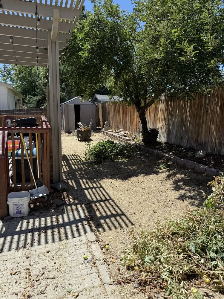 Expert landscape installation for year-round maintenance across Houston, TX - Sheckles Lawncare