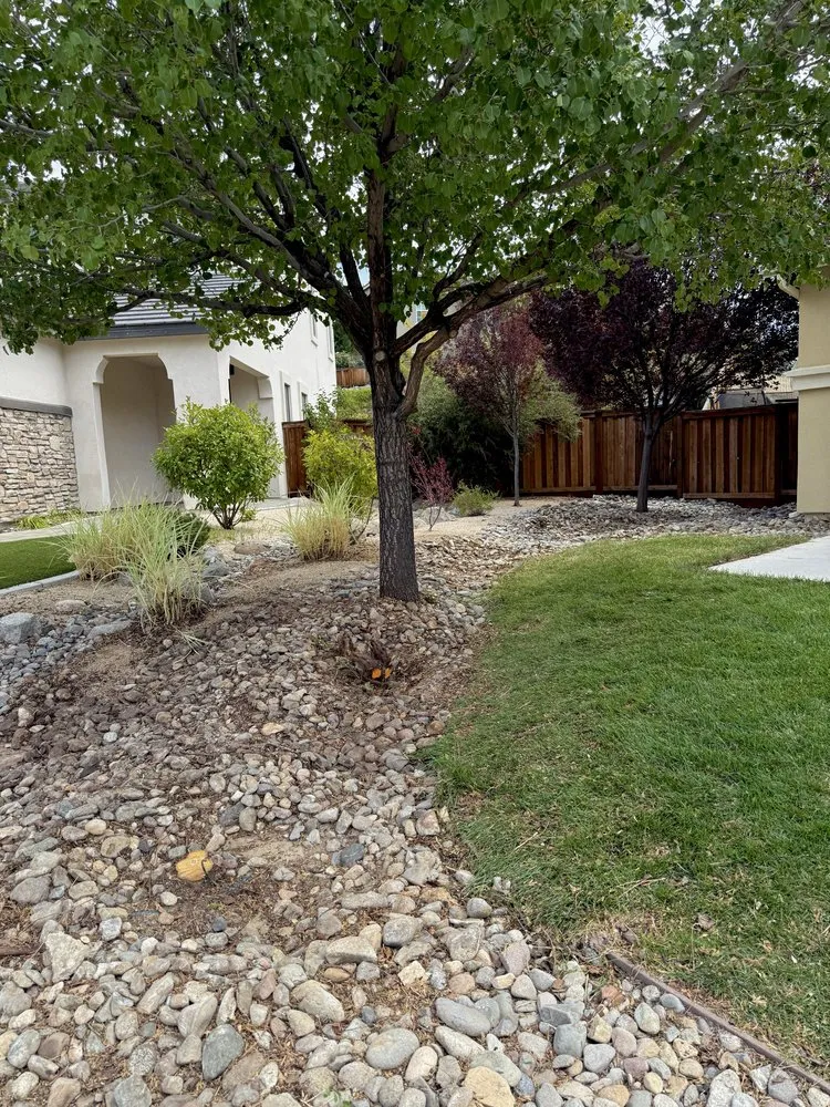 Affordable landscaping services in Houston, TX by Sheckles Lawncare