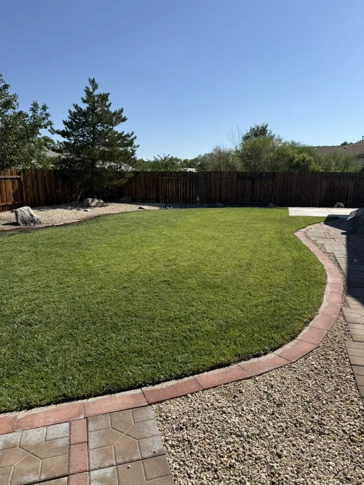 Top-rated lawn mowing service in Houston, TX by Sheckles Lawncare