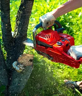 Custom yard maintenance in Big Cabin, OK - Shecks Outdoor Care