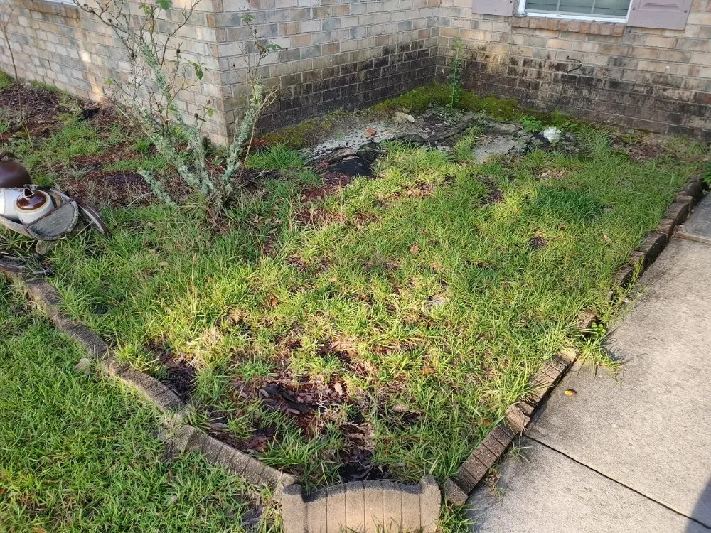 Affordable lawn care service in Guyton, GA by SheCUT's Lawn Care