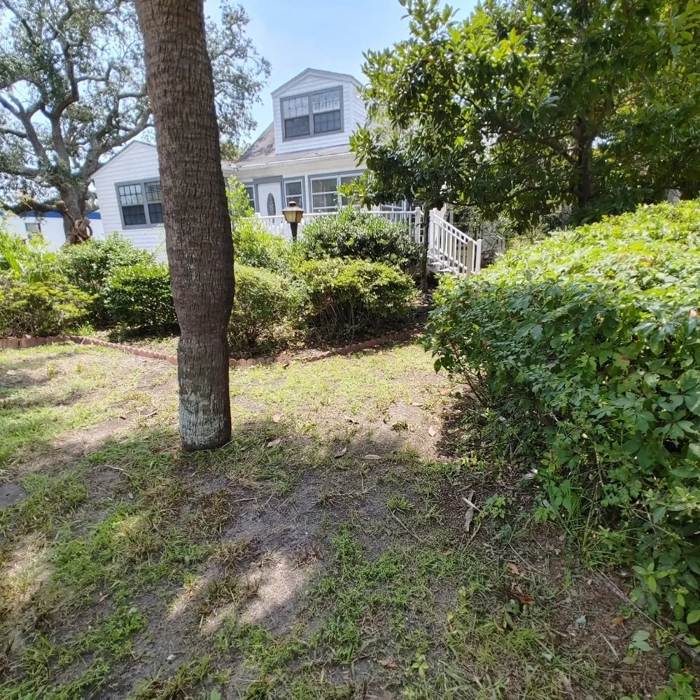 Top-rated lawn mowing service in Guyton, GA - SheCUT's Lawn Care