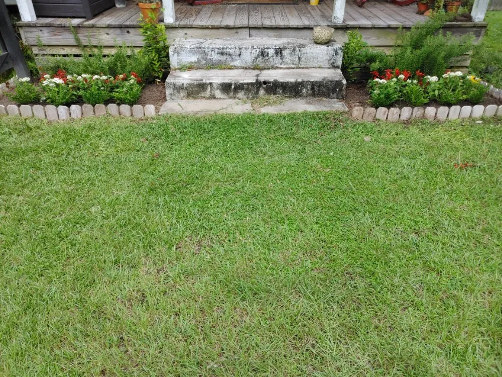 Expert residential landscaping experts serving Guyton, GA - SheCUT's Lawn Care