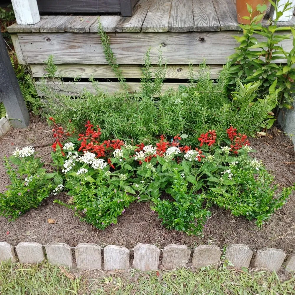 Expert garden landscaping experts serving Guyton, GA - SheCUT's Lawn Care