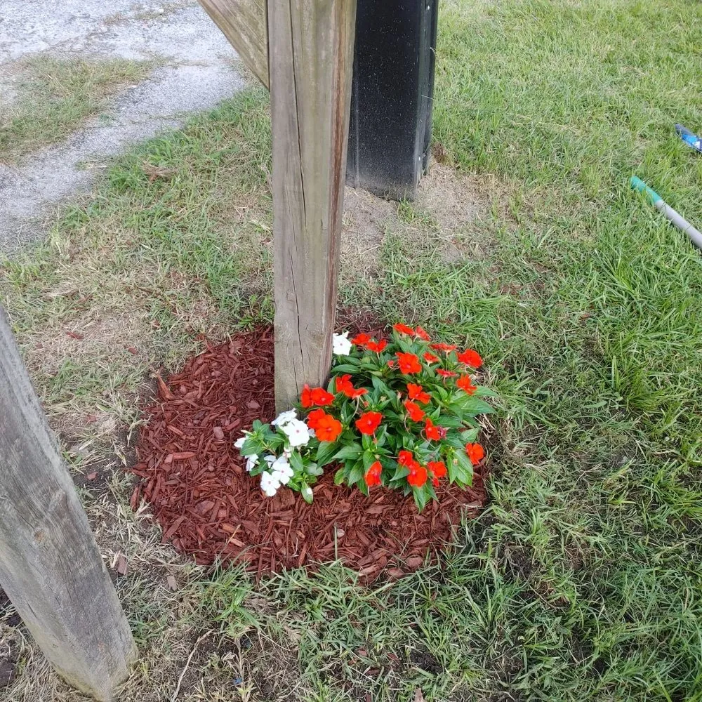 Reliable landscaping services in Guyton, GA by SheCUT's Lawn Care