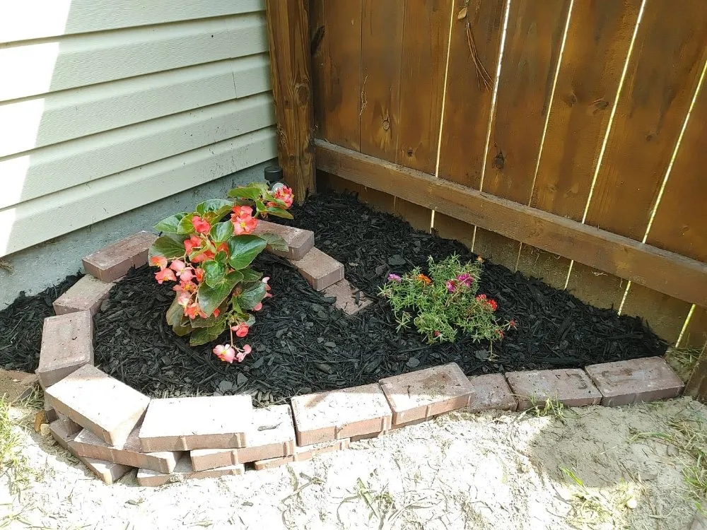 Top-rated residential landscaping in Guyton, GA by SheCUT's Lawn Care