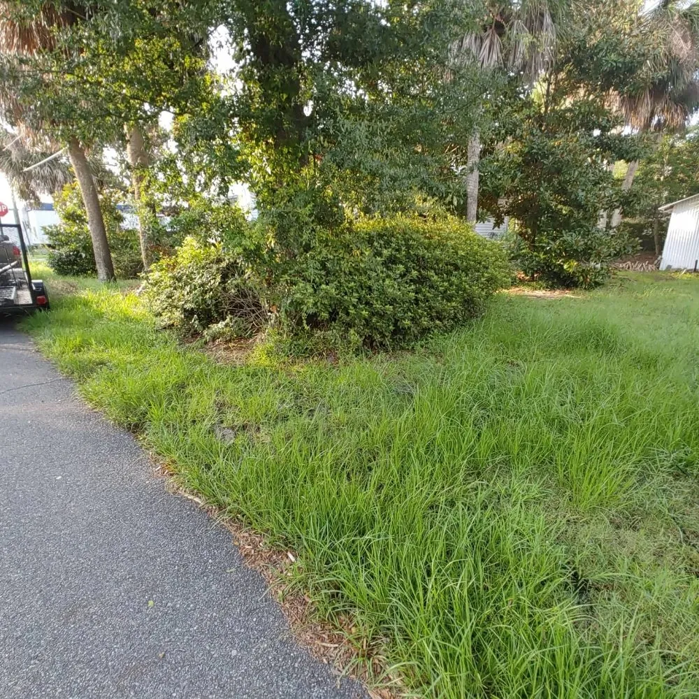 Custom yard cleanup service for outdoor upgrades across Guyton, GA - SheCUT's Lawn Care