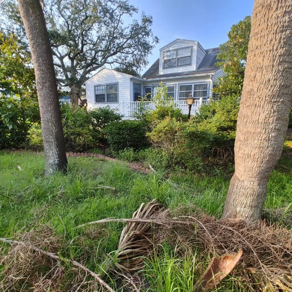 Affordable lawn care service in Guyton, GA - SheCUT's Lawn Care