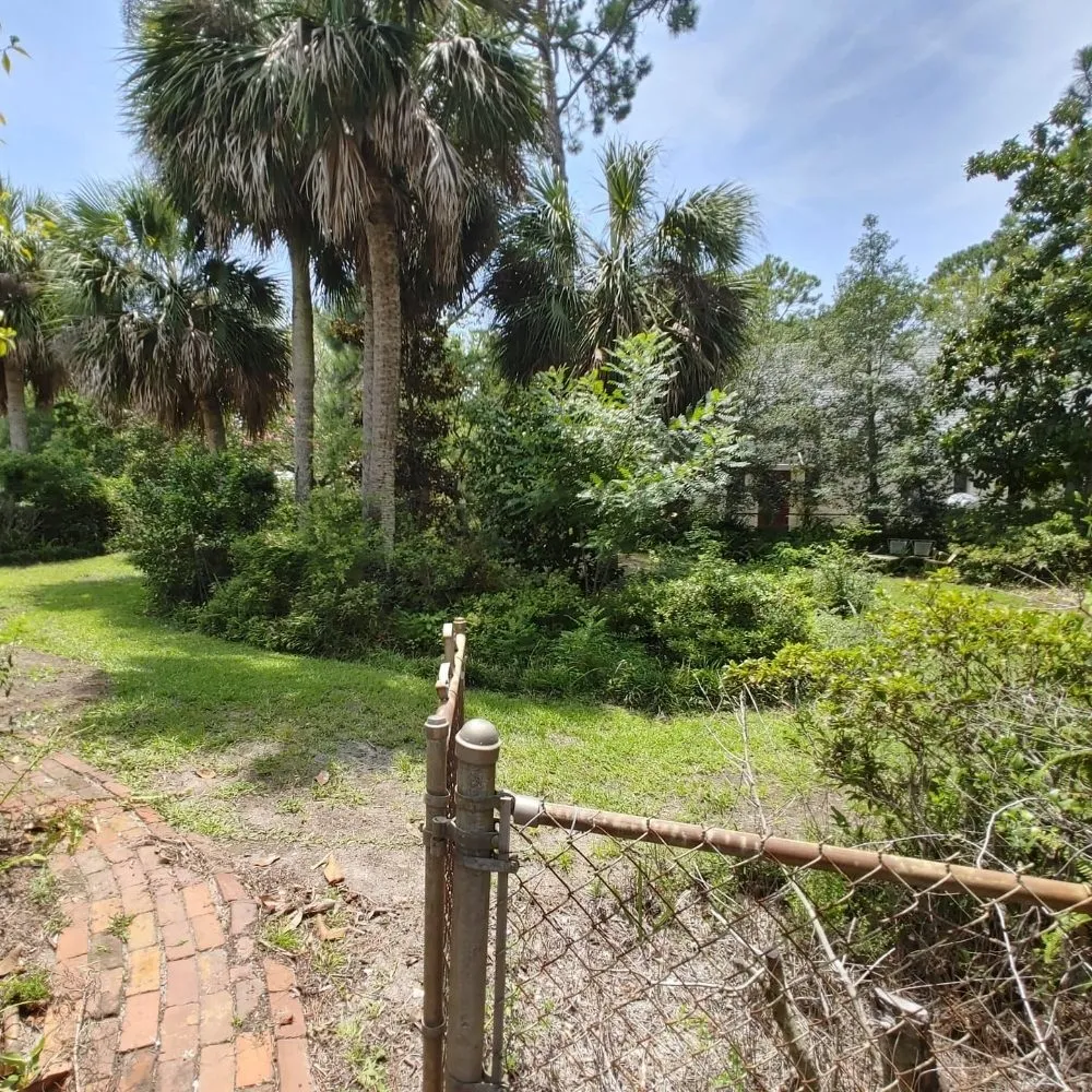 Expert lawn care service in Guyton, GA - SheCUT's Lawn Care