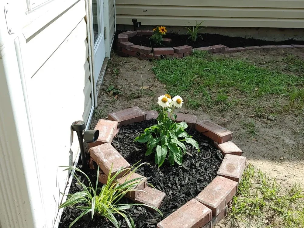 Custom yard maintenance near you across Guyton, GA - SheCUT's Lawn Care