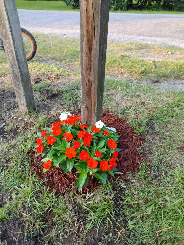 Trusted lawn mowing service in Guyton, GA - SheCUT's Lawn Care