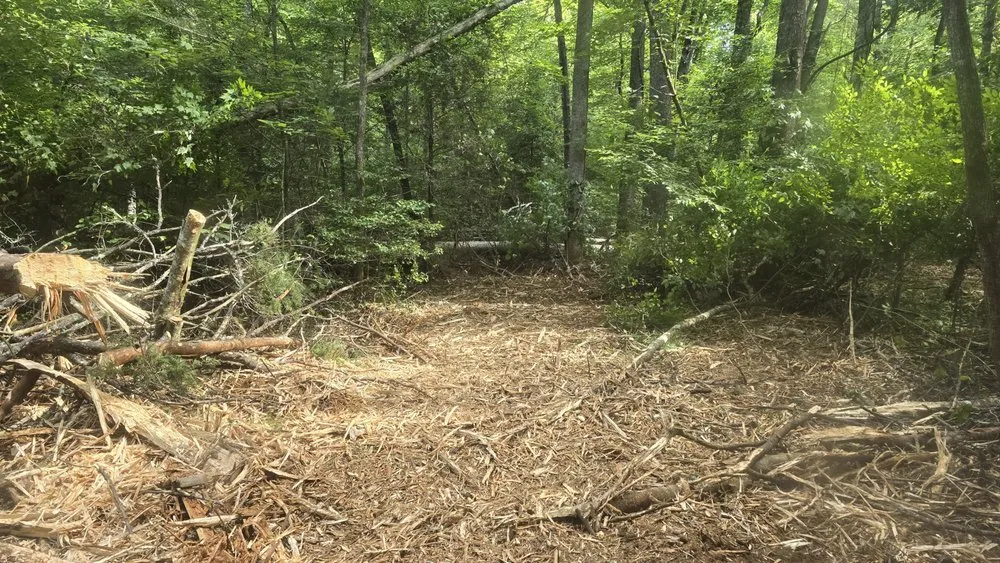 Professional landscaping services near you across Mineral Bluff, GA - Shedd Tree Service