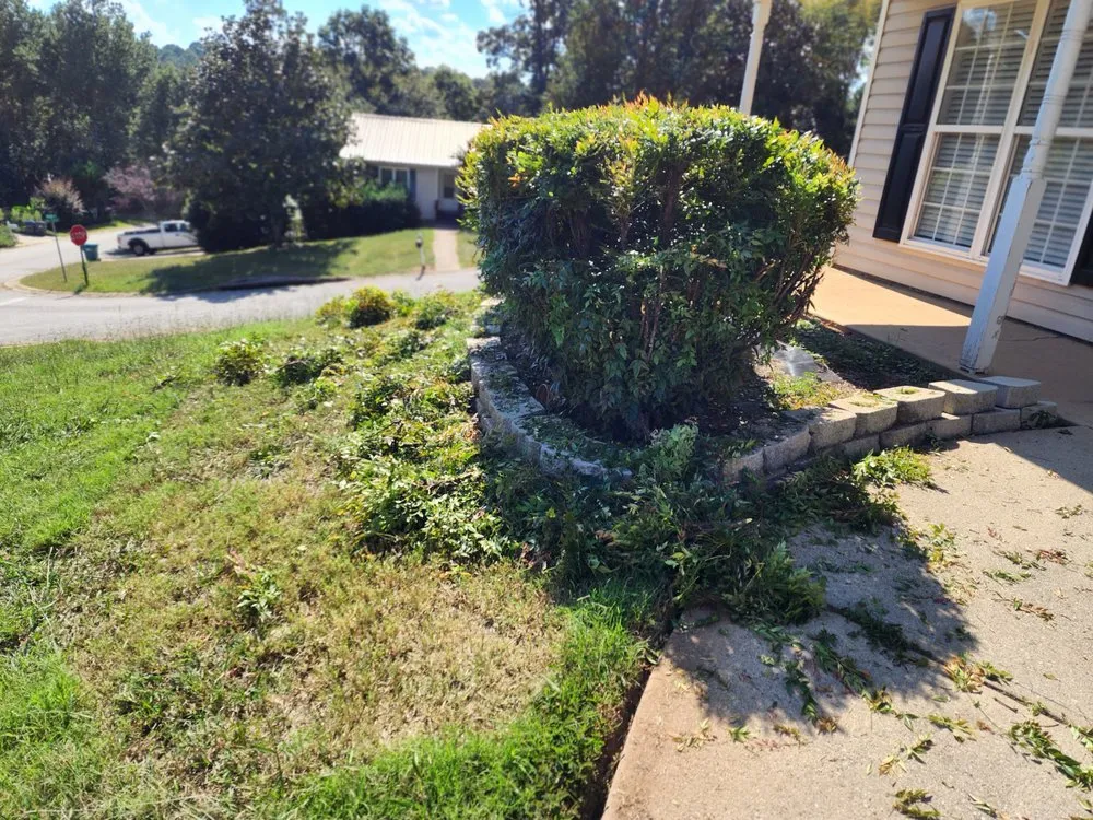 Affordable yard cleanup service for outdoor upgrades in Commerce, GA by Shedds irrigation & landscaping