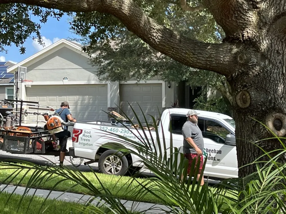 Affordable yard cleanup service experts serving Clermont, FL - Sheehan & Sons