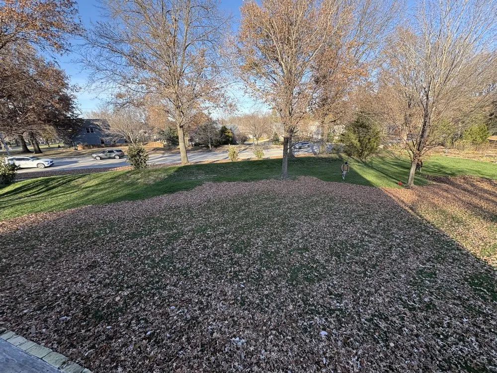 Expert lawn mowing service experts serving Stilwell, KS - Sheeley Brothers Lawn & Landscape