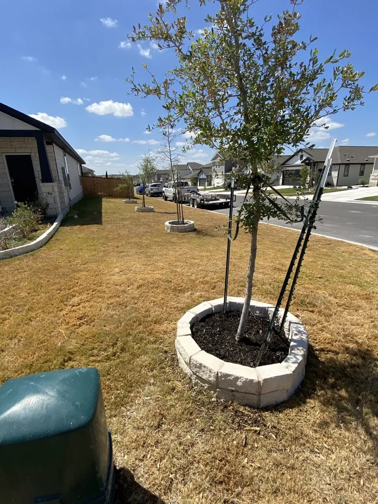 Top-rated landscape design for outdoor upgrades across Jarrell, TX - Sheer Landscaping & Construction