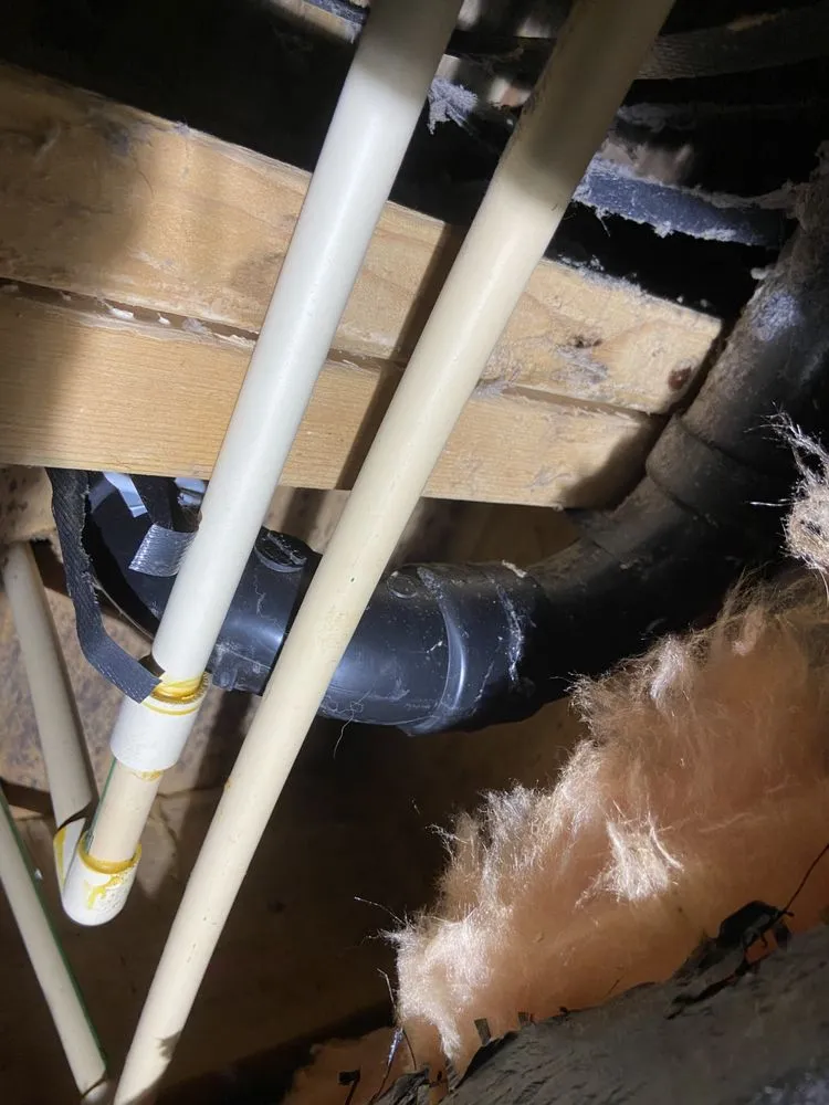 Expert landscaping services experts serving Jarrell, TX - Sheer Landscaping & Construction