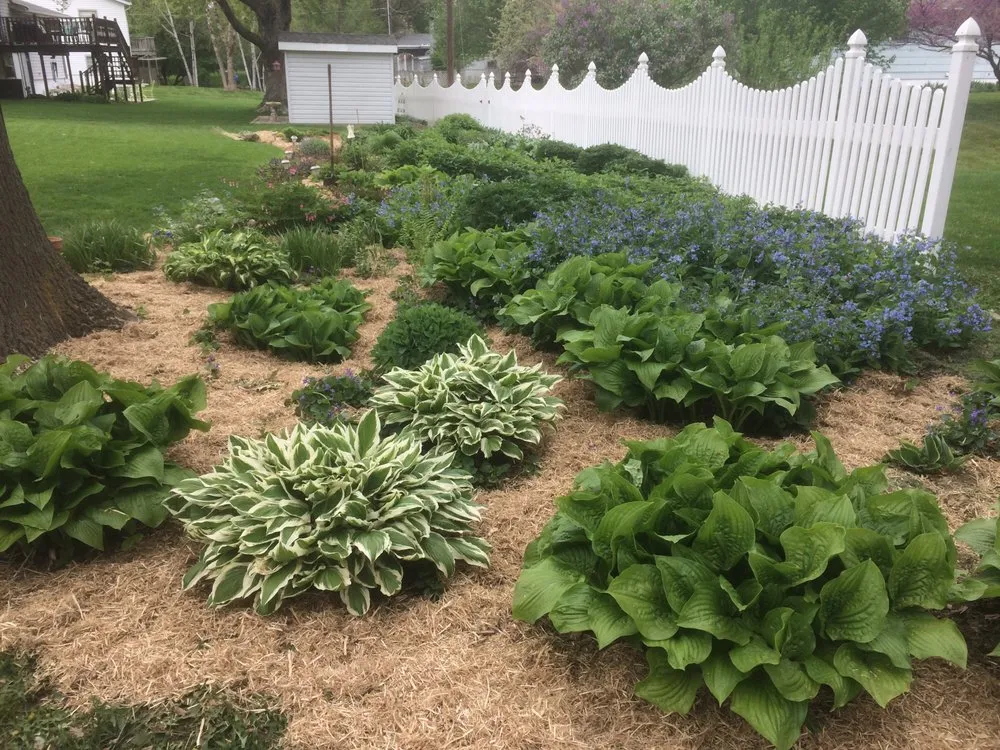 Professional outdoor landscaping in York, NE - Sheets Landscaping
