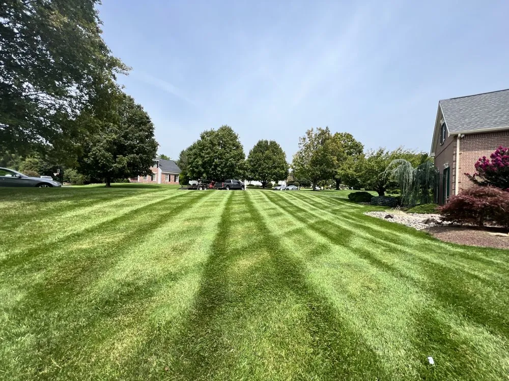 Reliable landscape installation in Holland, PA by Shefsky's Property Maintenance