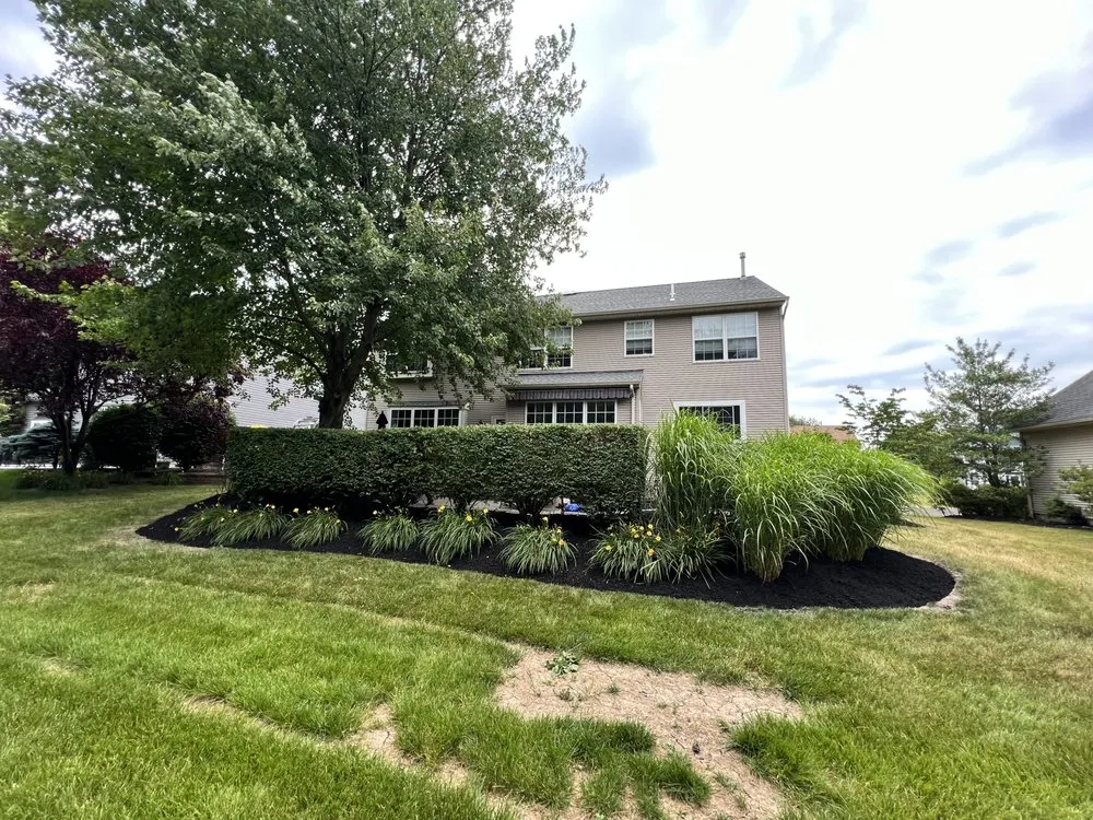 Reliable yard maintenance in Holland, PA by Shefsky's Property Maintenance