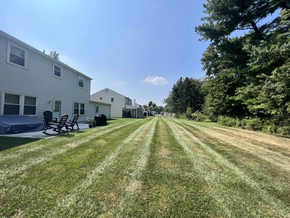 Custom yard cleanup service for year-round maintenance in Holland, PA by Shefsky's Property Maintenance