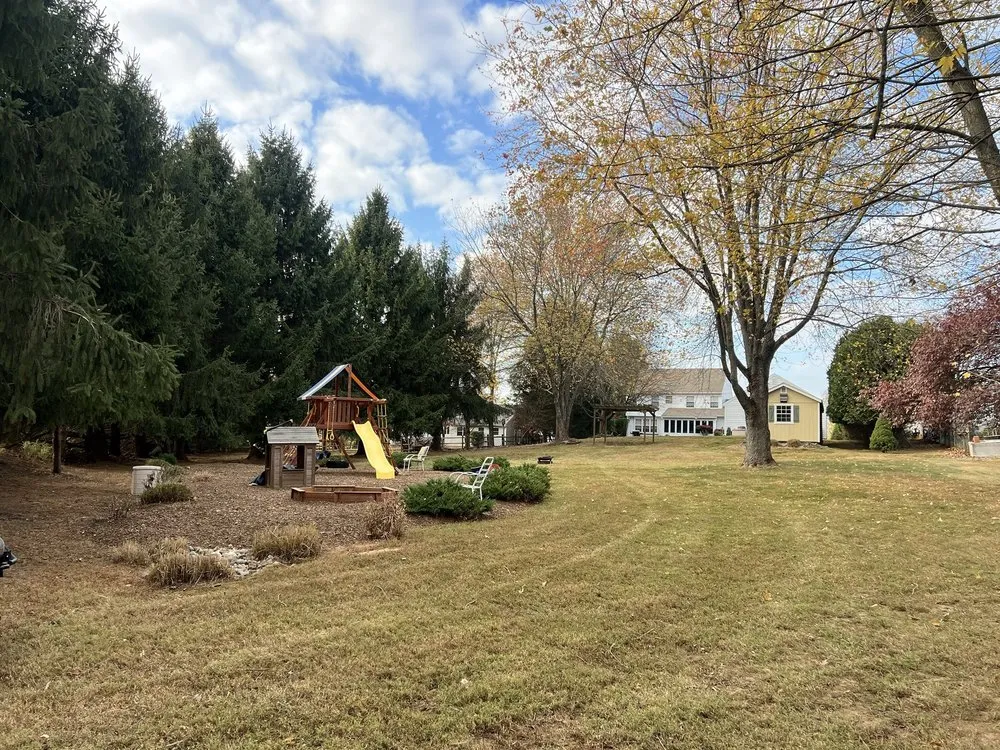 Expert yard cleanup service for outdoor upgrades in Holland, PA by Shefsky's Property Maintenance