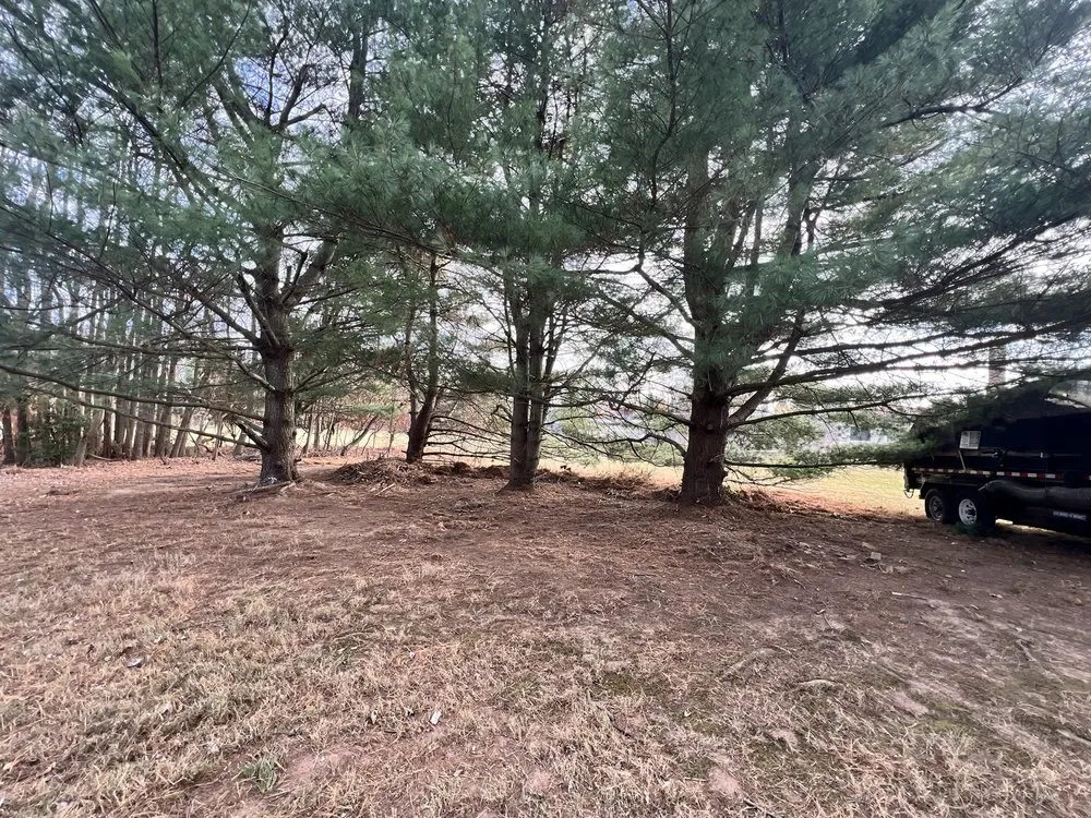 Local landscape installation for residential properties across Holland, PA - Shefsky's Property Maintenance