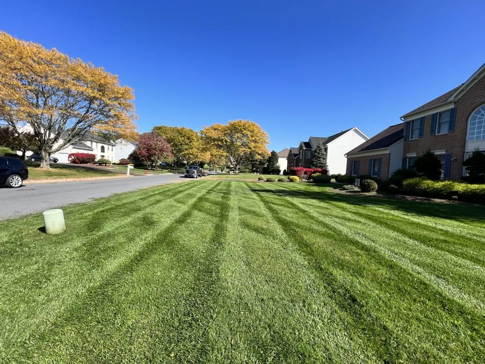 Local lawn mowing service experts serving Holland, PA - Shefsky's Property Maintenance
