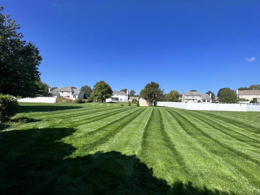 Professional lawn care service experts serving Holland, PA - Shefsky's Property Maintenance