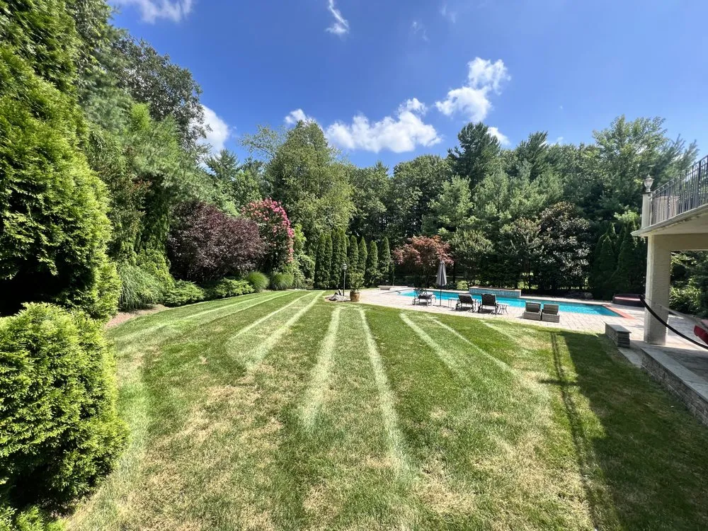 Expert landscape installation for outdoor upgrades in Holland, PA by Shefsky's Property Maintenance