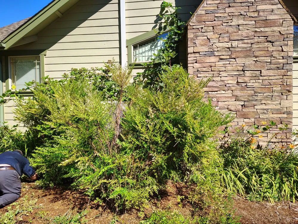 Affordable landscape installation in Grants Pass, OR - Sheila's Creative Yards