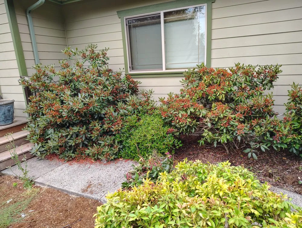 Top-rated landscape installation near you across Grants Pass, OR - Sheila's Creative Yards