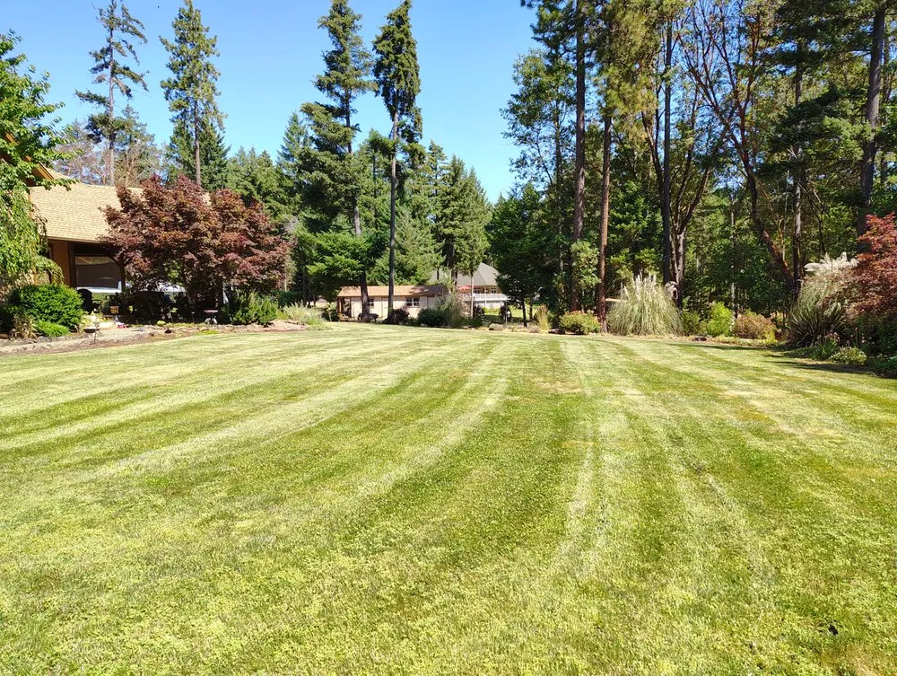 Custom landscape installation in Grants Pass, OR - Sheila's Creative Yards