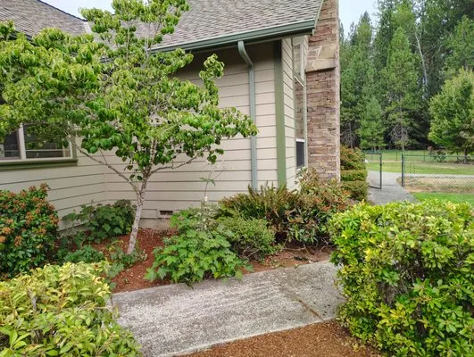 Sheila's Creative Yards Logo