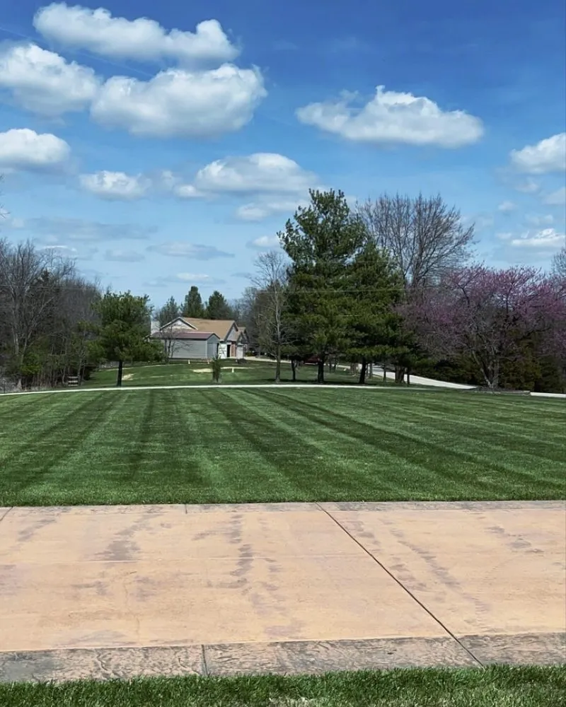 Custom yard cleanup service in High Ridge, MO by Shekas Precise Lawncare