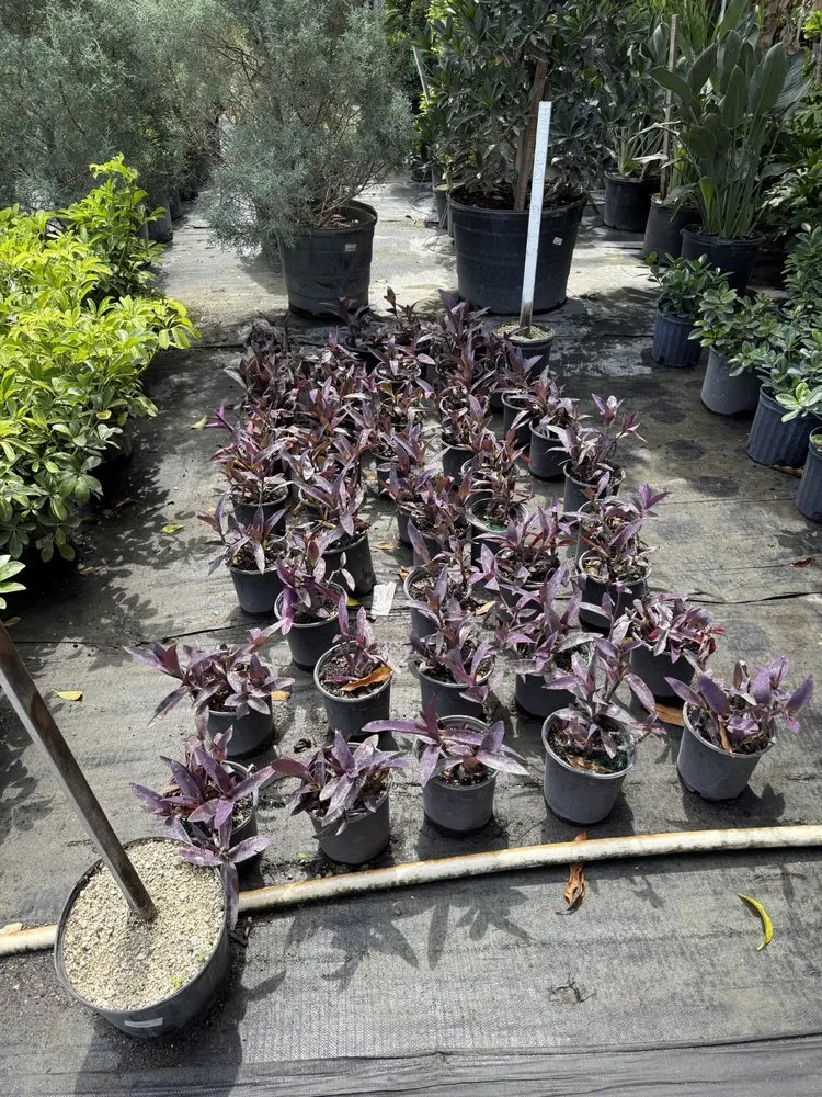 Local landscape design for homes across Hollywood, FL - Shekinah Landscaping Services