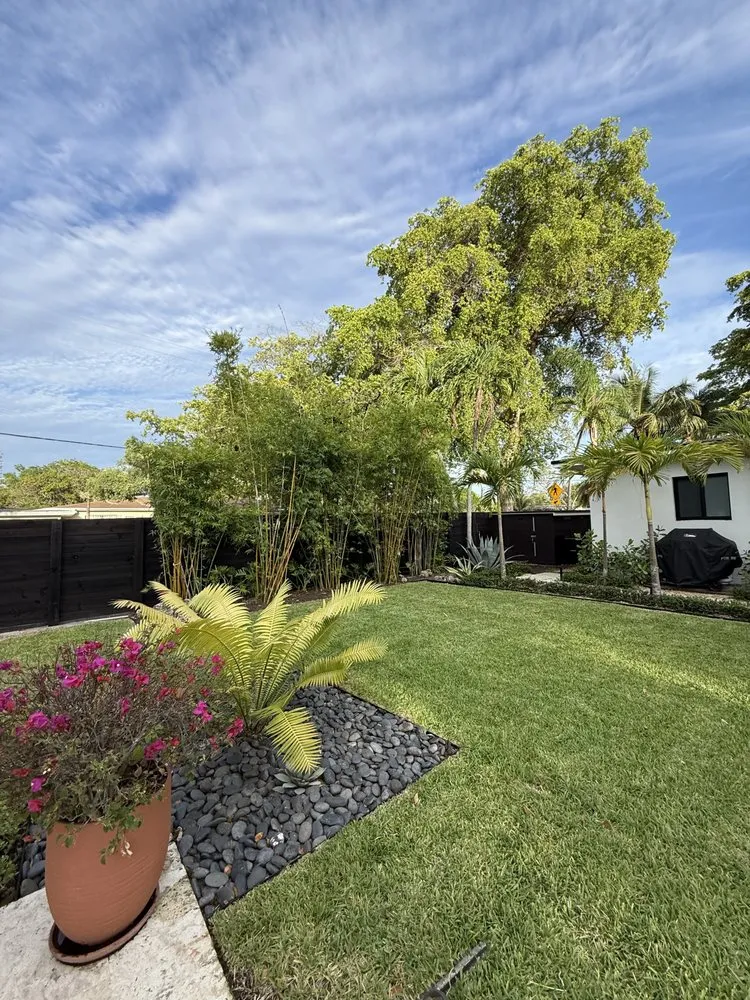 Expert outdoor landscaping experts serving Hollywood, FL - Shekinah Landscaping Services