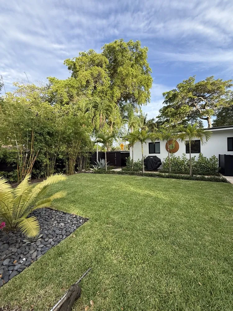 Expert yard cleanup service in Hollywood, FL by Shekinah Landscaping Services