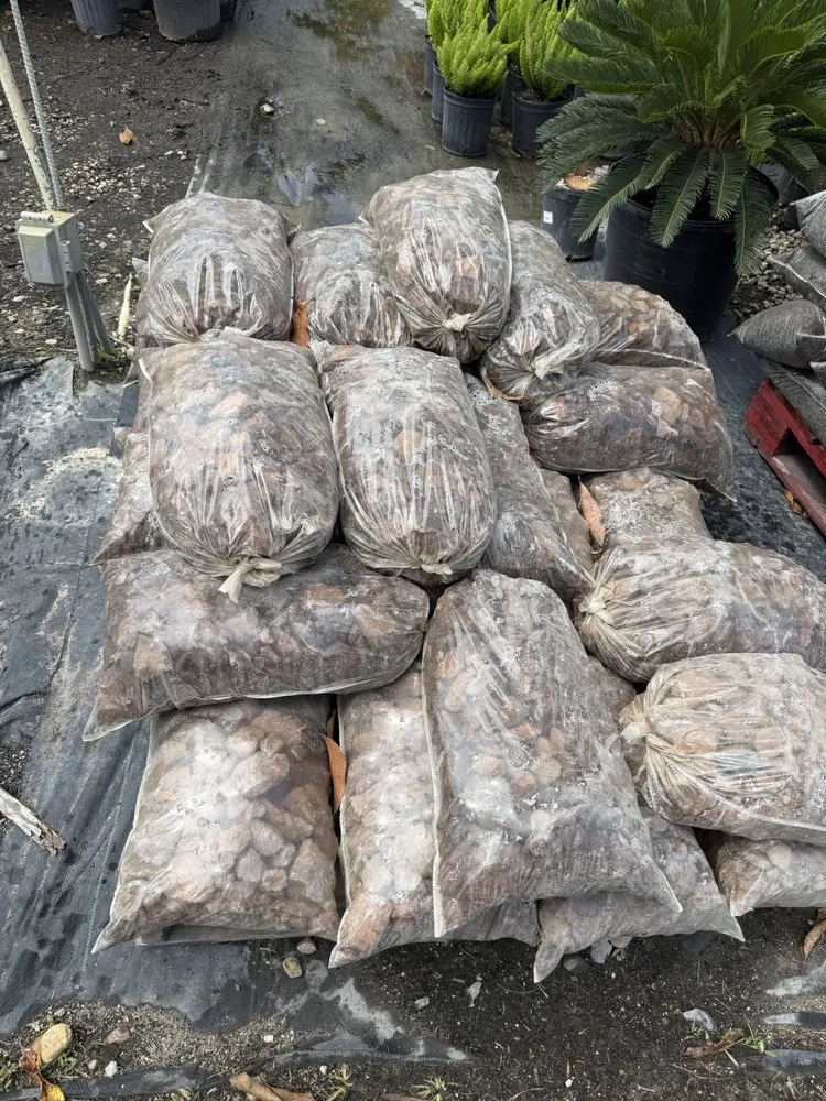 Top-rated yard cleanup service for outdoor upgrades in Hollywood, FL by Shekinah Landscaping Services