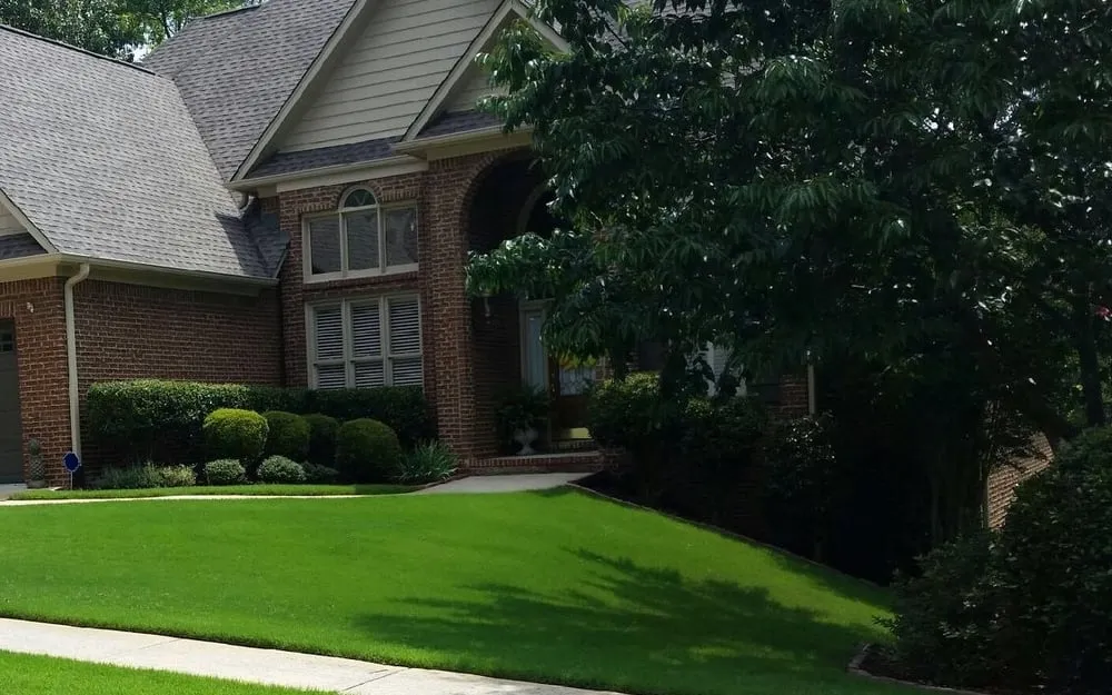 Local landscape design in Brierfield, AL - Shelby