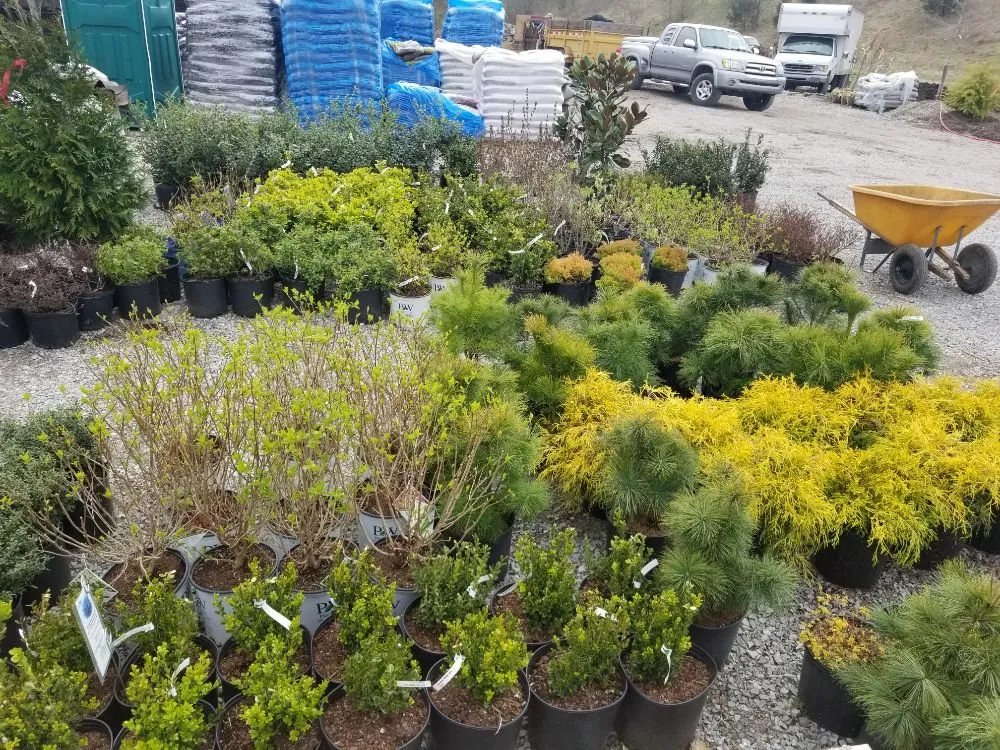 Reliable landscape design experts serving Shelbyville, KY - Shelby Nursery & Garden Center